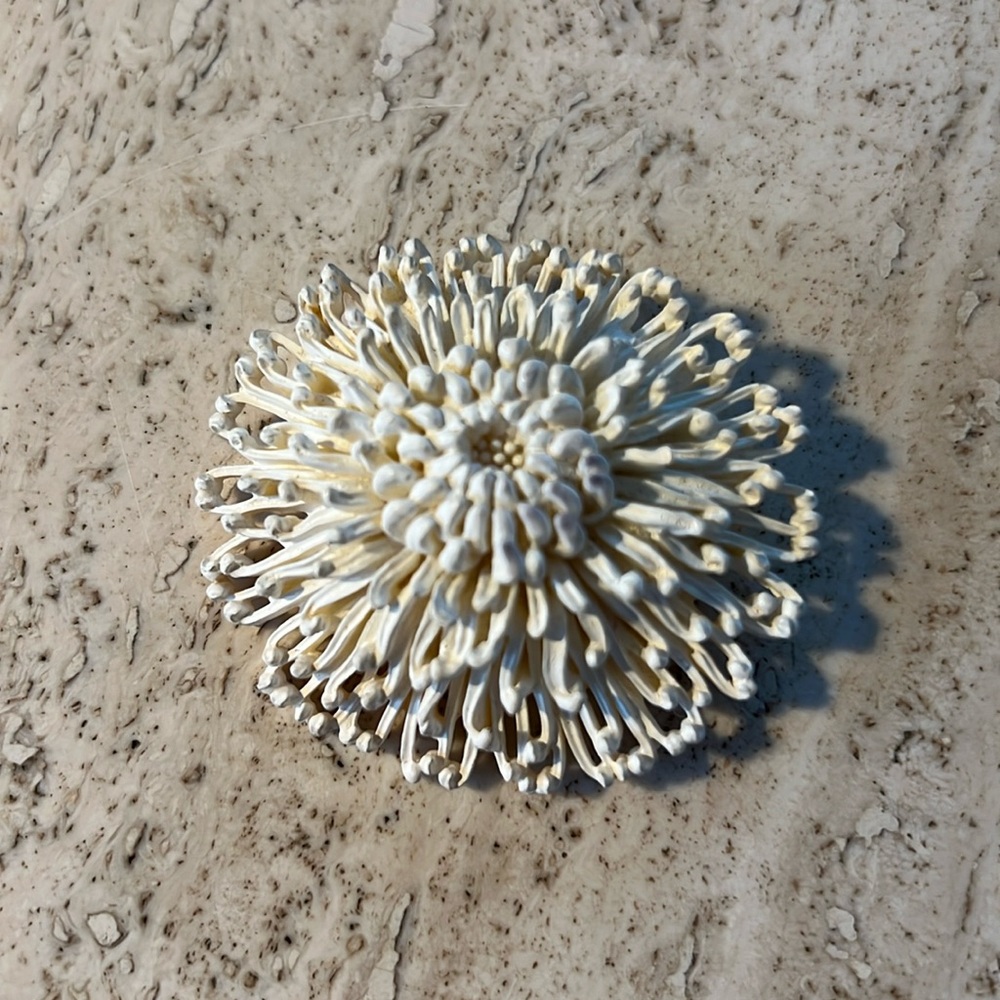 Vintage celluloid chrysanthemum brooch